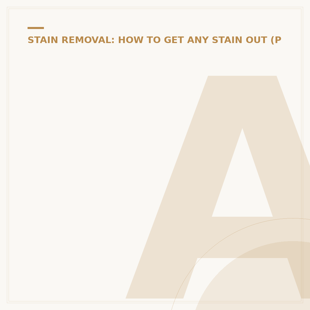 Ace Stain Remover: Effective Laundry Solutions