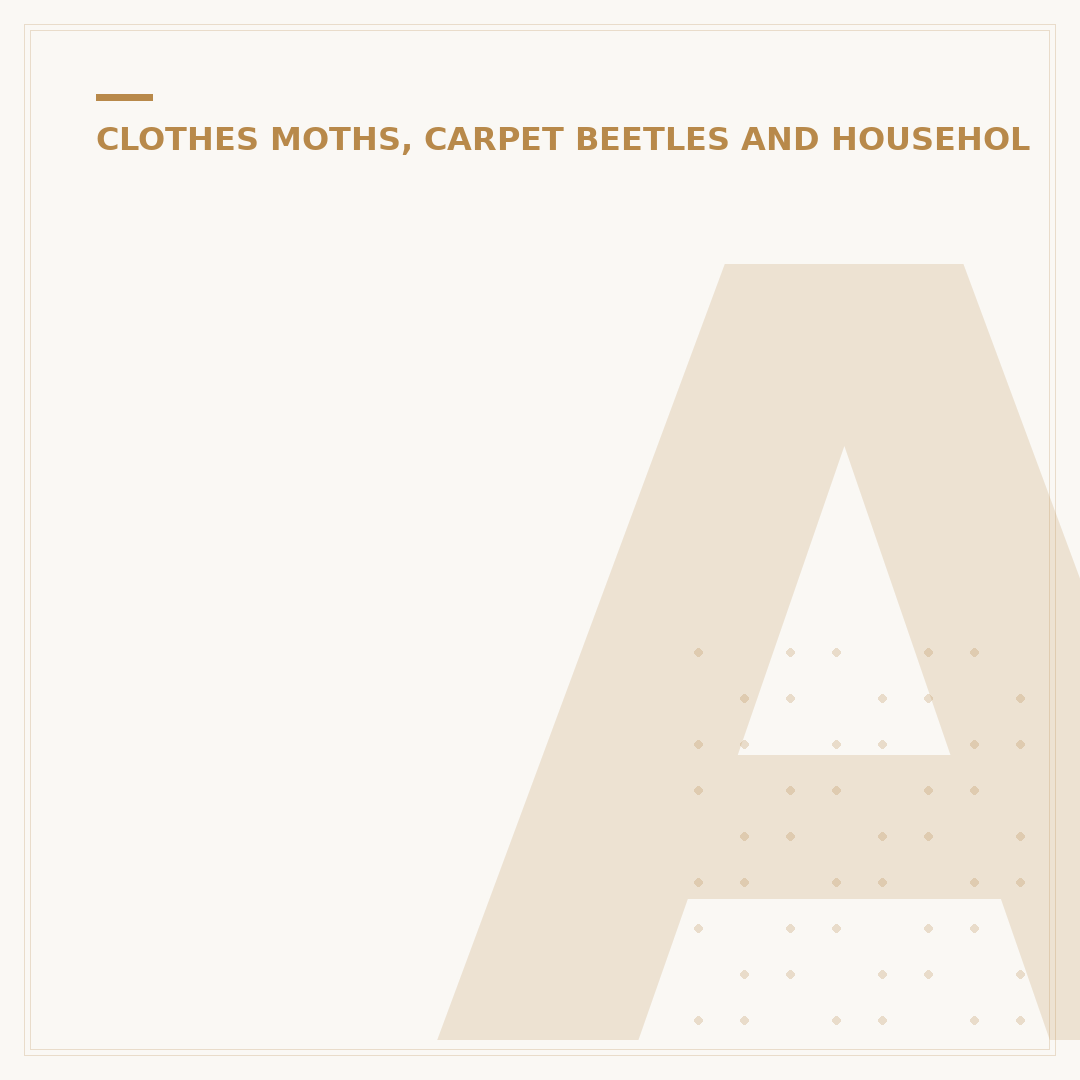 Adult Carpet Beetle Identification and Control