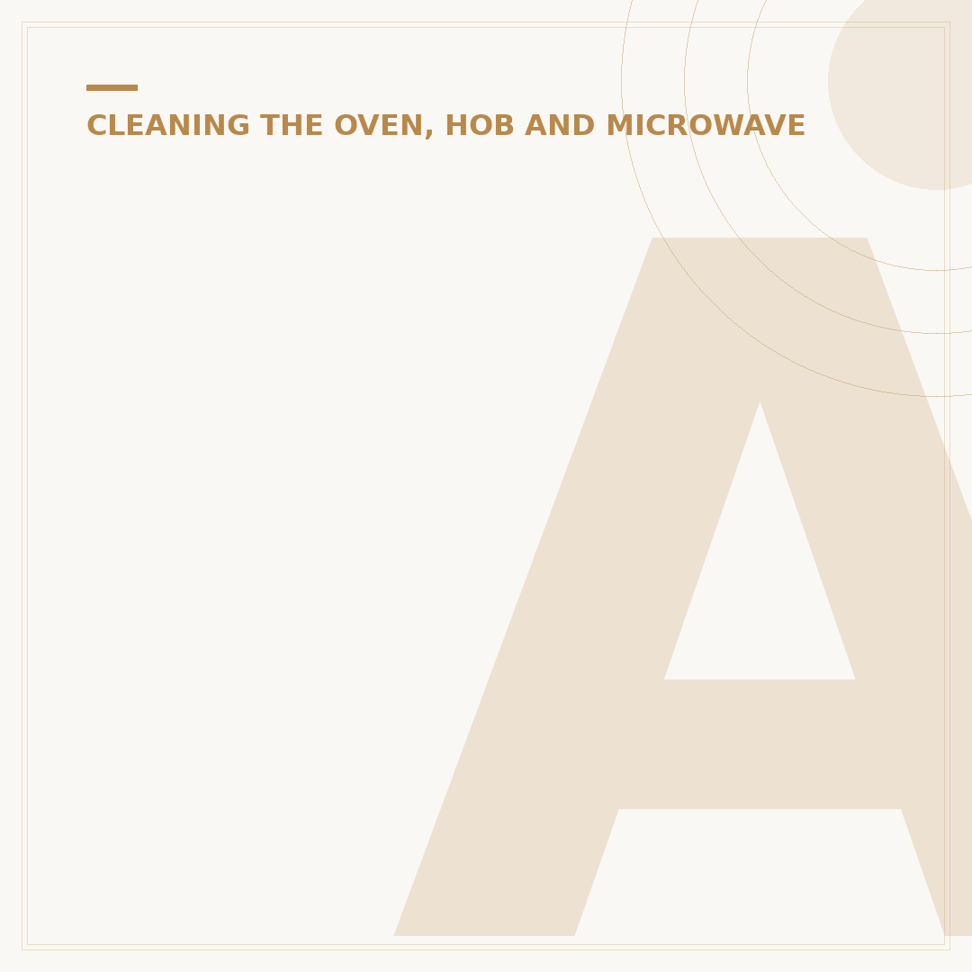 Angry Mama Microwave Oven Cleaner