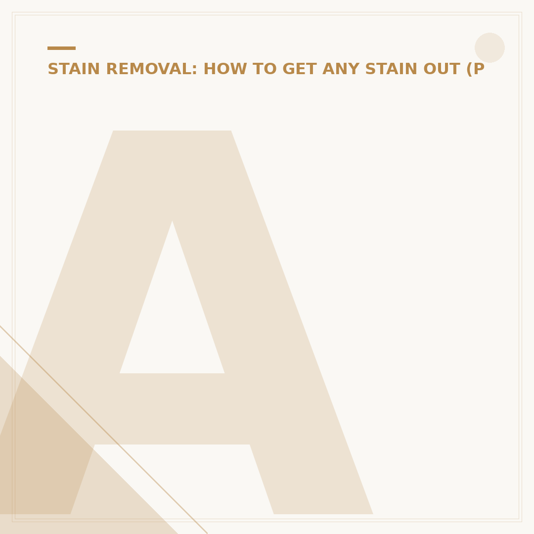 Animal Stain Remover: How to Tackle Pet Messes Effectively