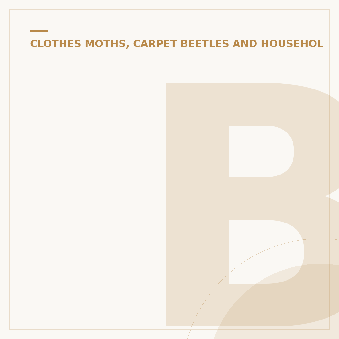 Bed Bug Stains: Identification, Removal & Prevention