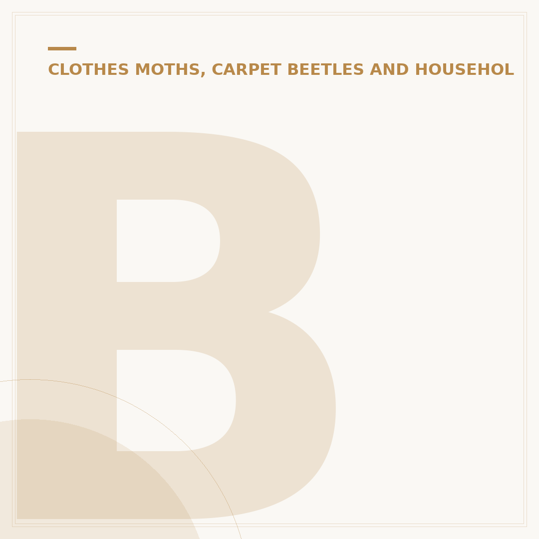 Black Carpet Beetle: Identification and Control