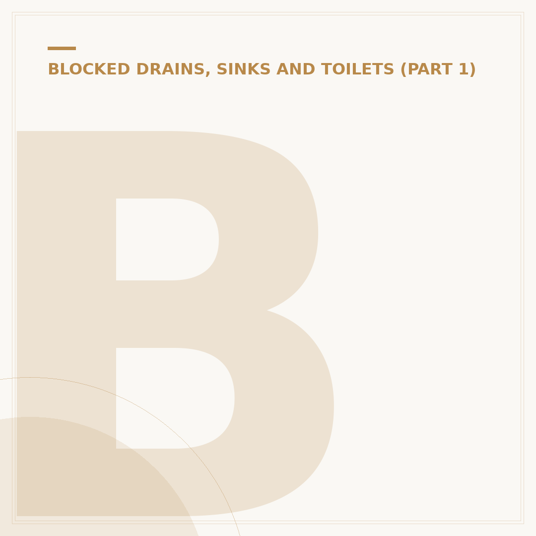 Blocked Toilet Pipe: Causes, Signs, and How to Unblock