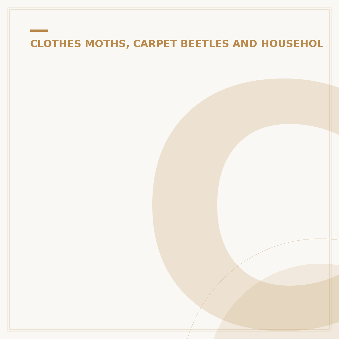 Carpet Beetle Rash: Causes, Symptoms & What To Do
