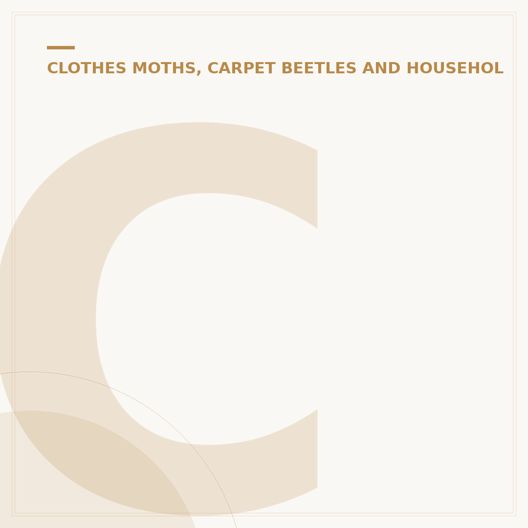 Carpet Beetle Identification and Control in UK Homes