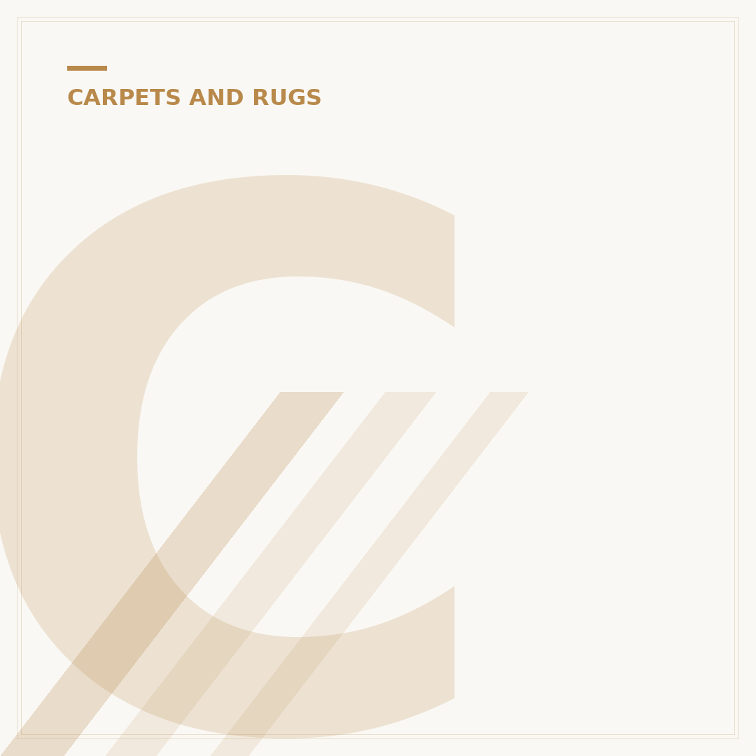 Carpet Cleaning and Shampooing