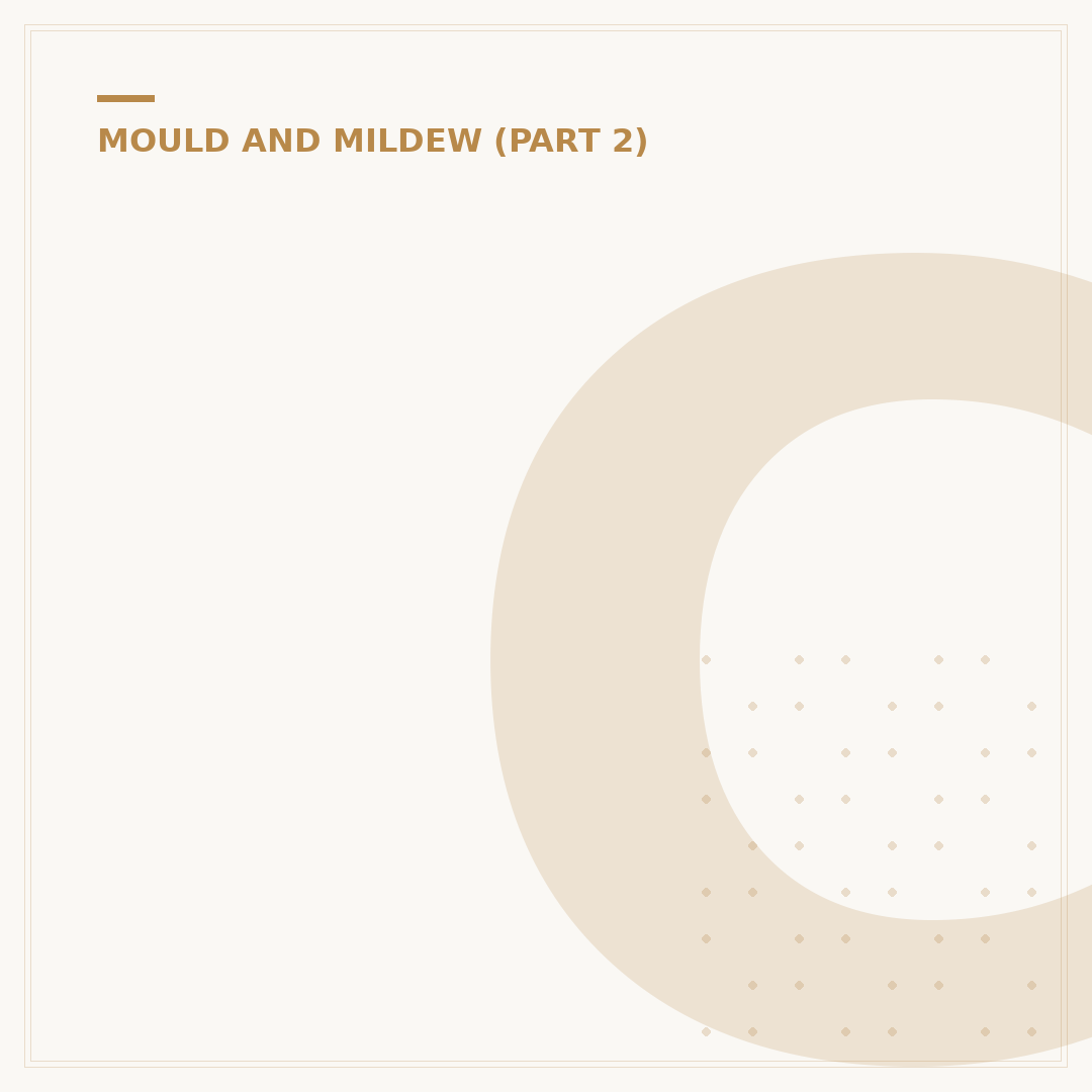 Carpet Mould Remover: Tackle Stains & Odours