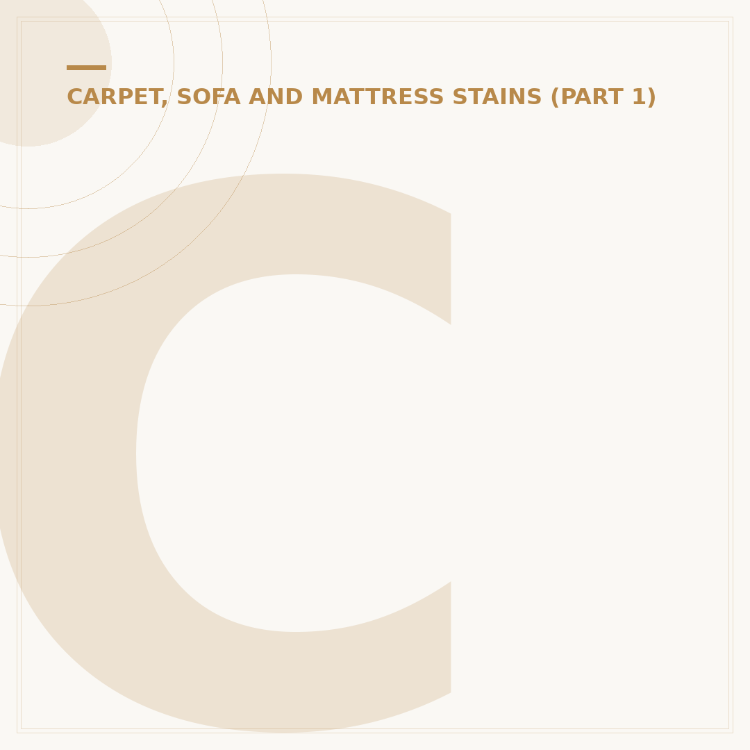 Carpet Stain Remover: Effective Cleaning Solutions