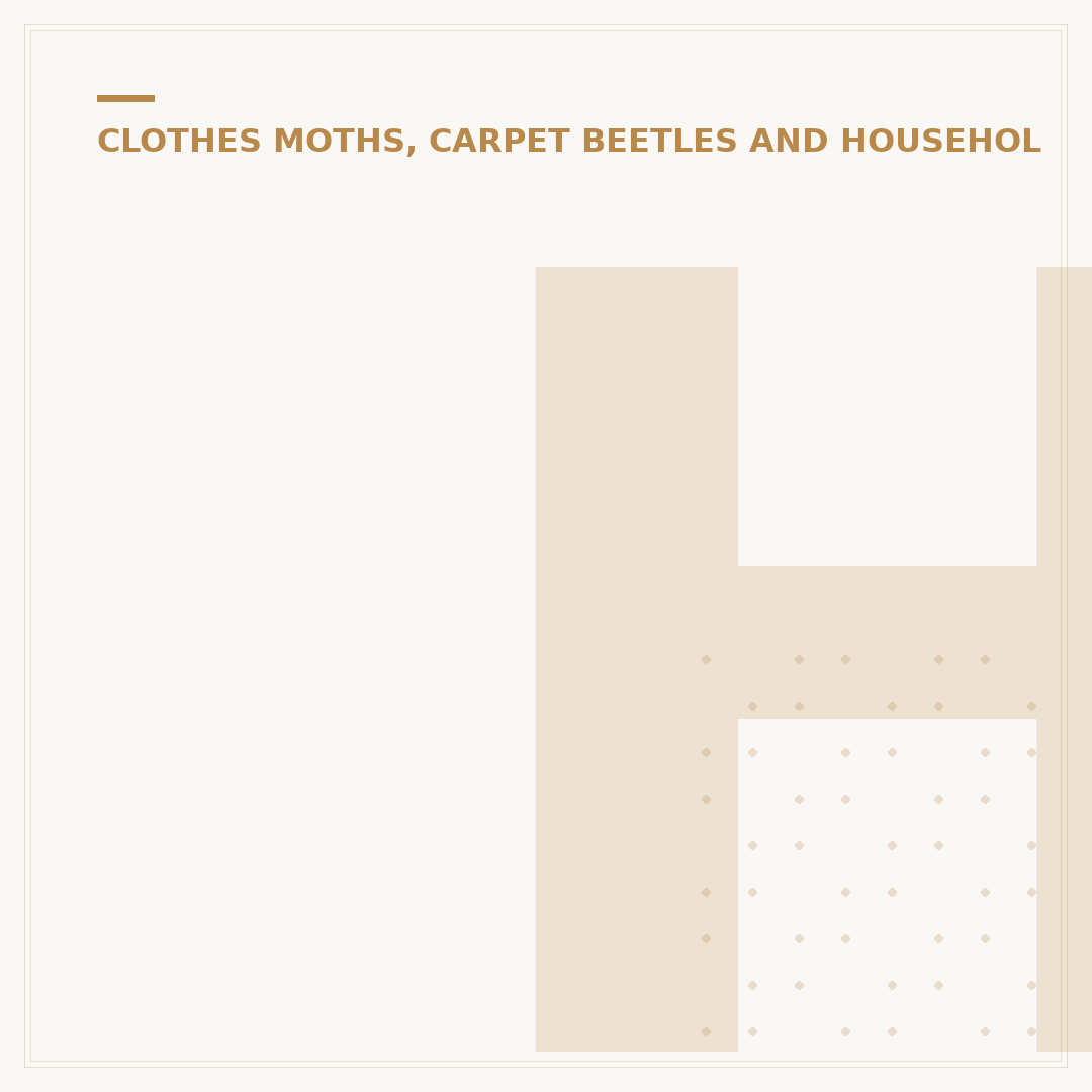 How to Kill Clothes Moths: Effective Methods