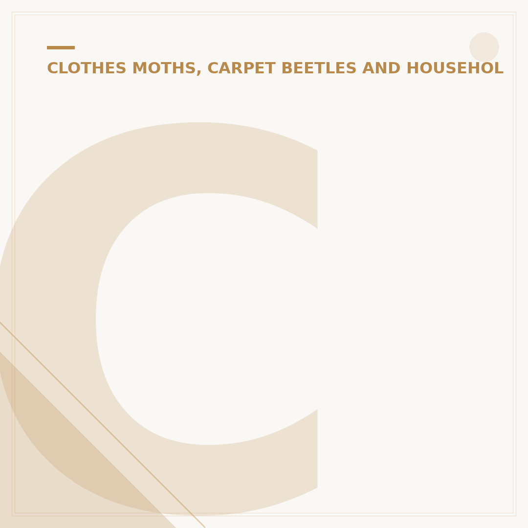 Clothes Moths Traps: How They Work & What to Choose