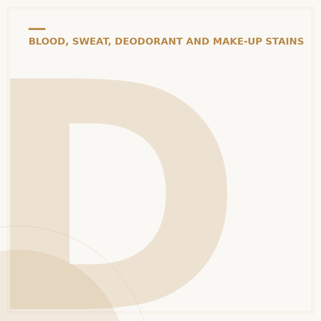 David Rizzio Blood Stain: History and Investigation