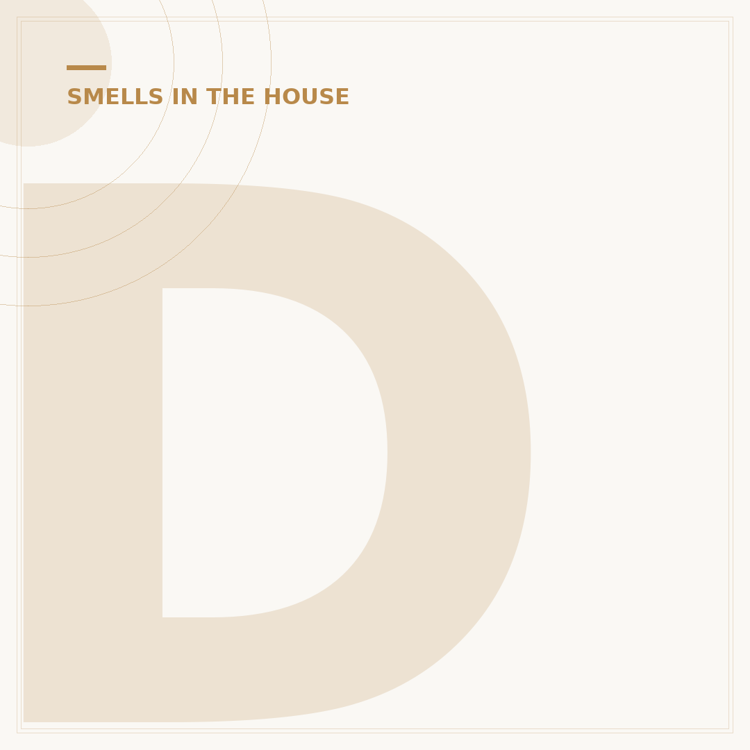 Dead Rat Smell in House: Identify & Eliminate Odour