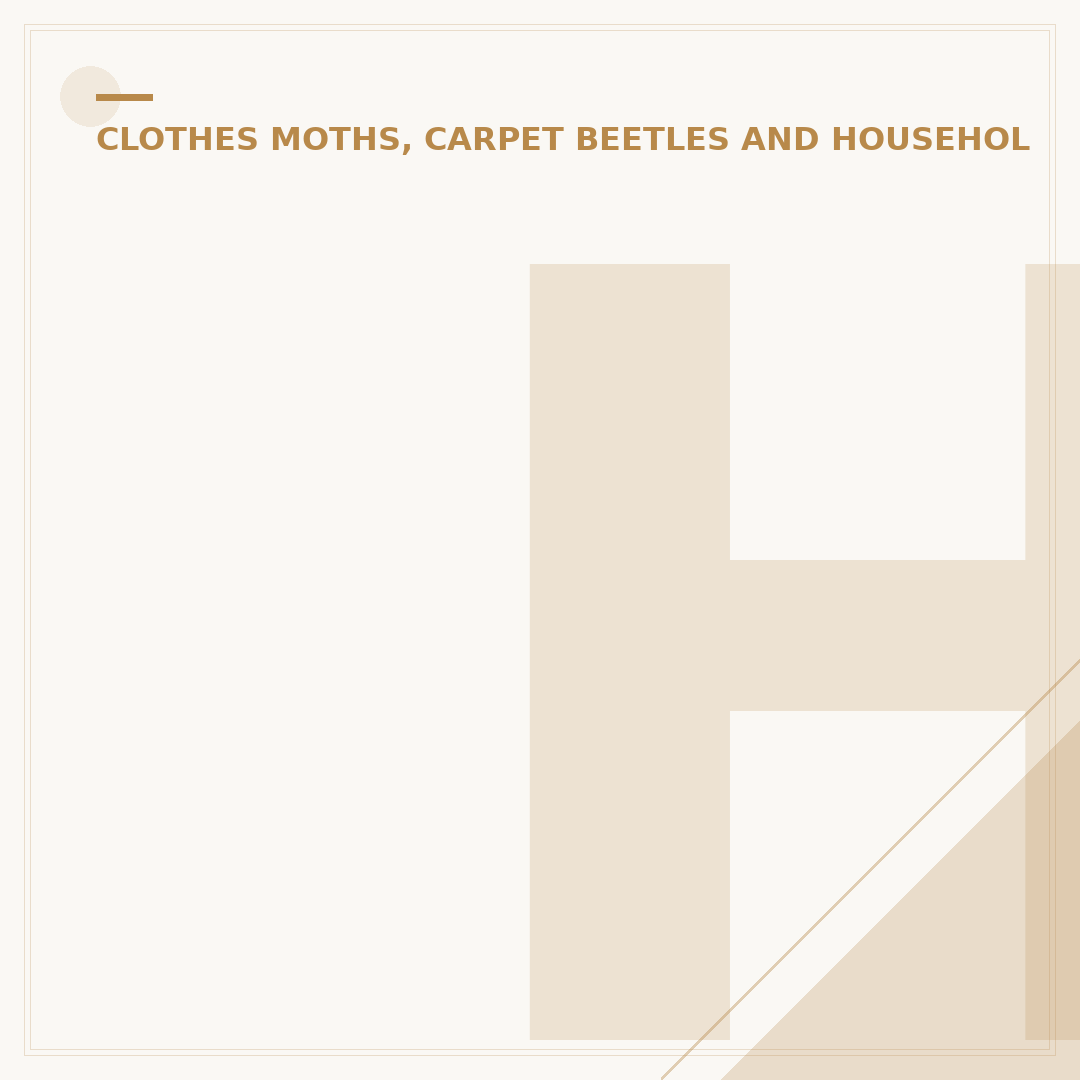 How to Get Rid of the Silverfish Bug