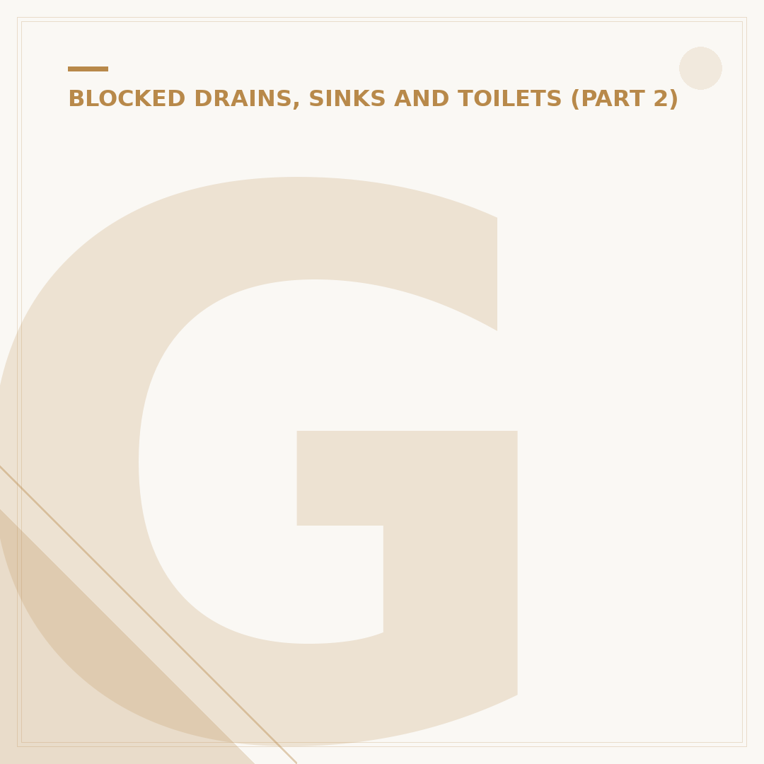 Gully Drain Blocked: Causes, Solutions & Prevention