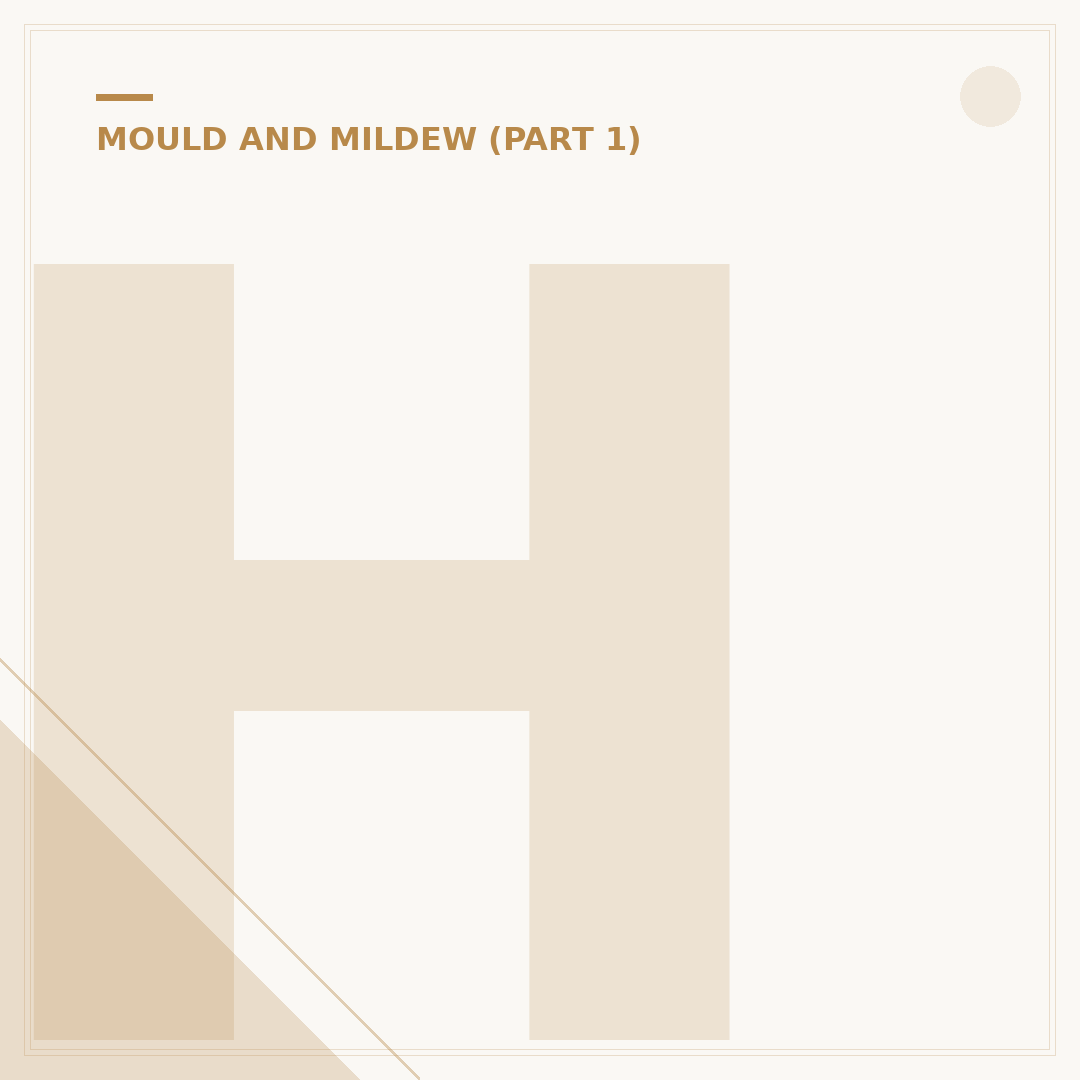 H G Mould Spray