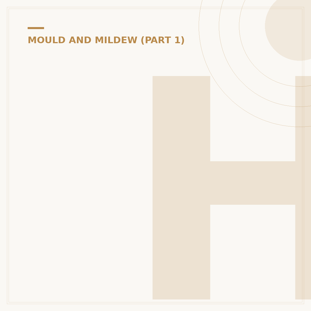 House Smells Like Mildew? Causes and How to Remove