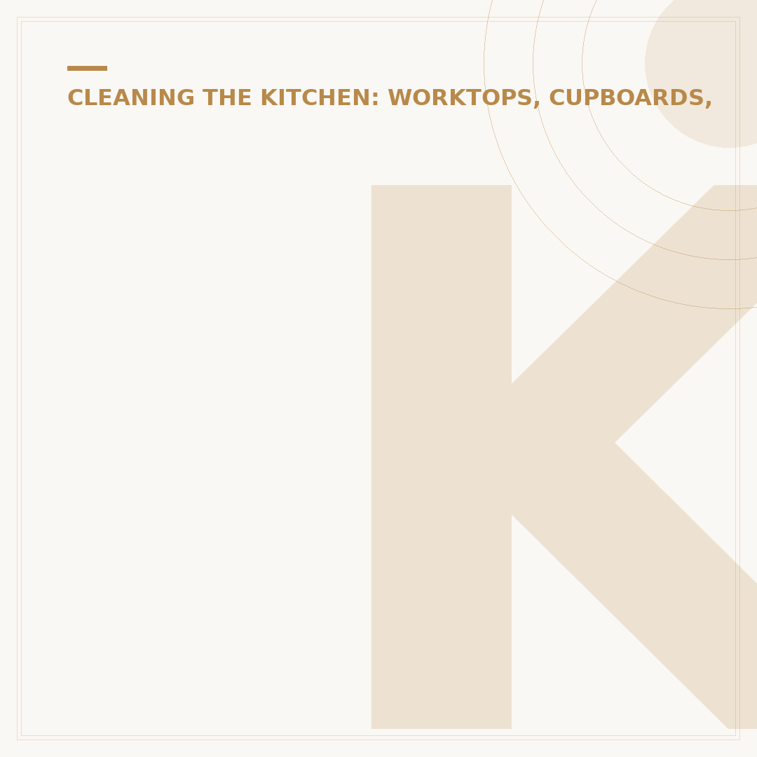 Kitchen Cleaner: What It Is and How to Choose