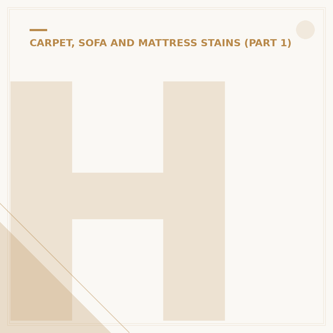 How to Get Makeup Out of Carpet: Effective Stain Removal