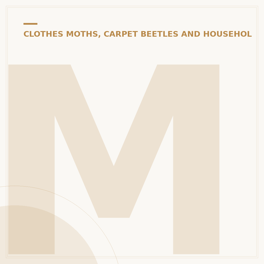 Mattress Signs of Carpet Beetles: What to Look For