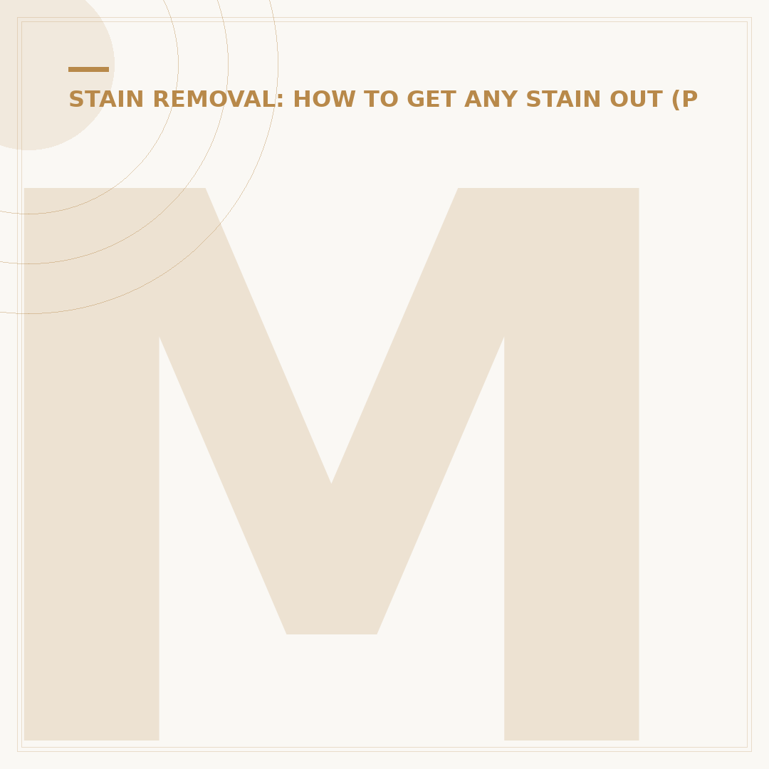 Miss Mouth Stain Remover: What It Is & How It Works