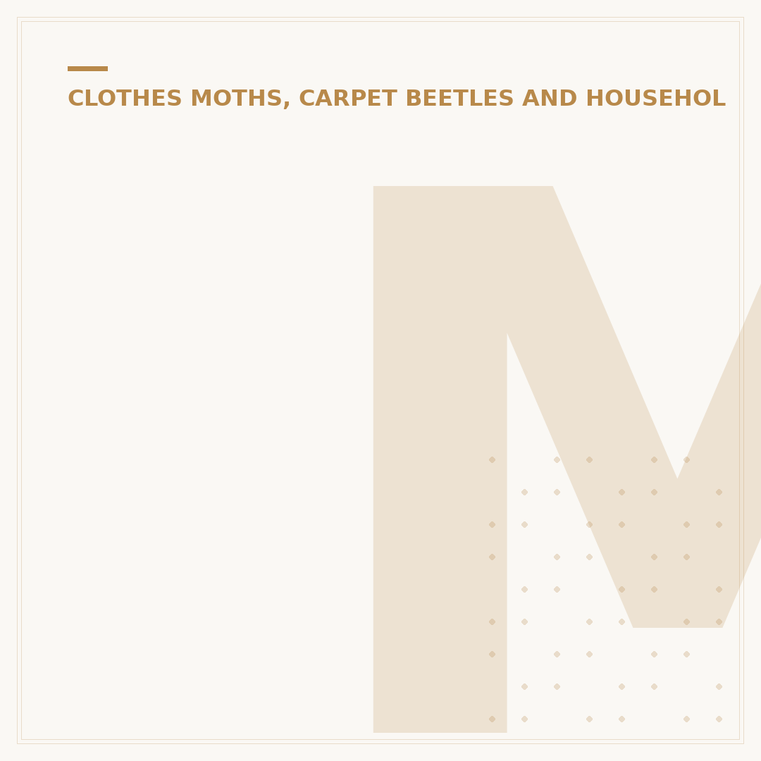 Moth Holes in Clothes: Identify and Prevent Damage
