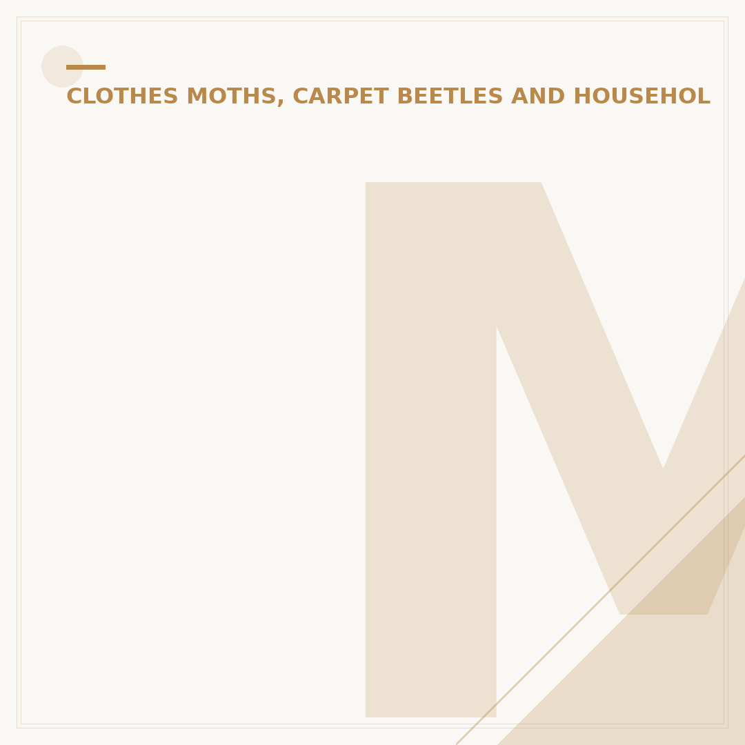 Moths Eating Clothes: Identify, Prevent, and Eradicate Them