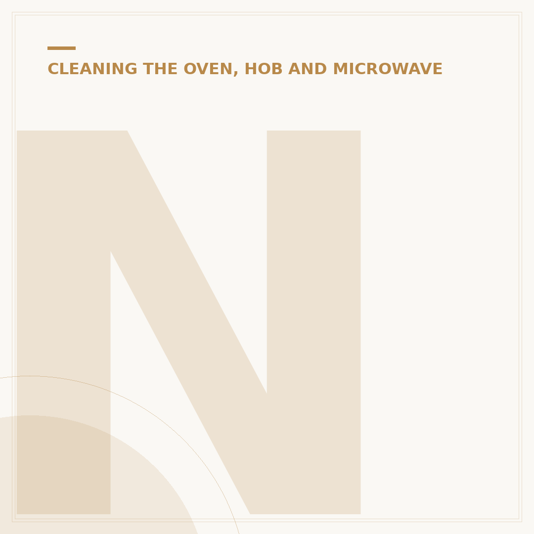 Neff Oven Cleaner: Choosing and Using Products