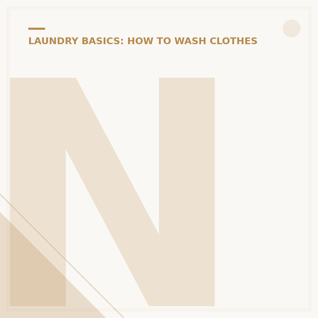 New Laundry Machine: Key Buying Considerations