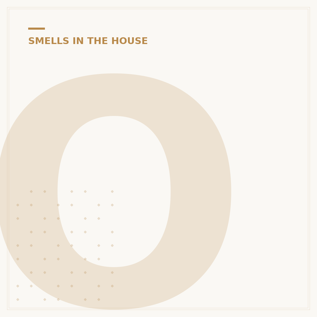 Odd Smell in House: Causes and Solutions
