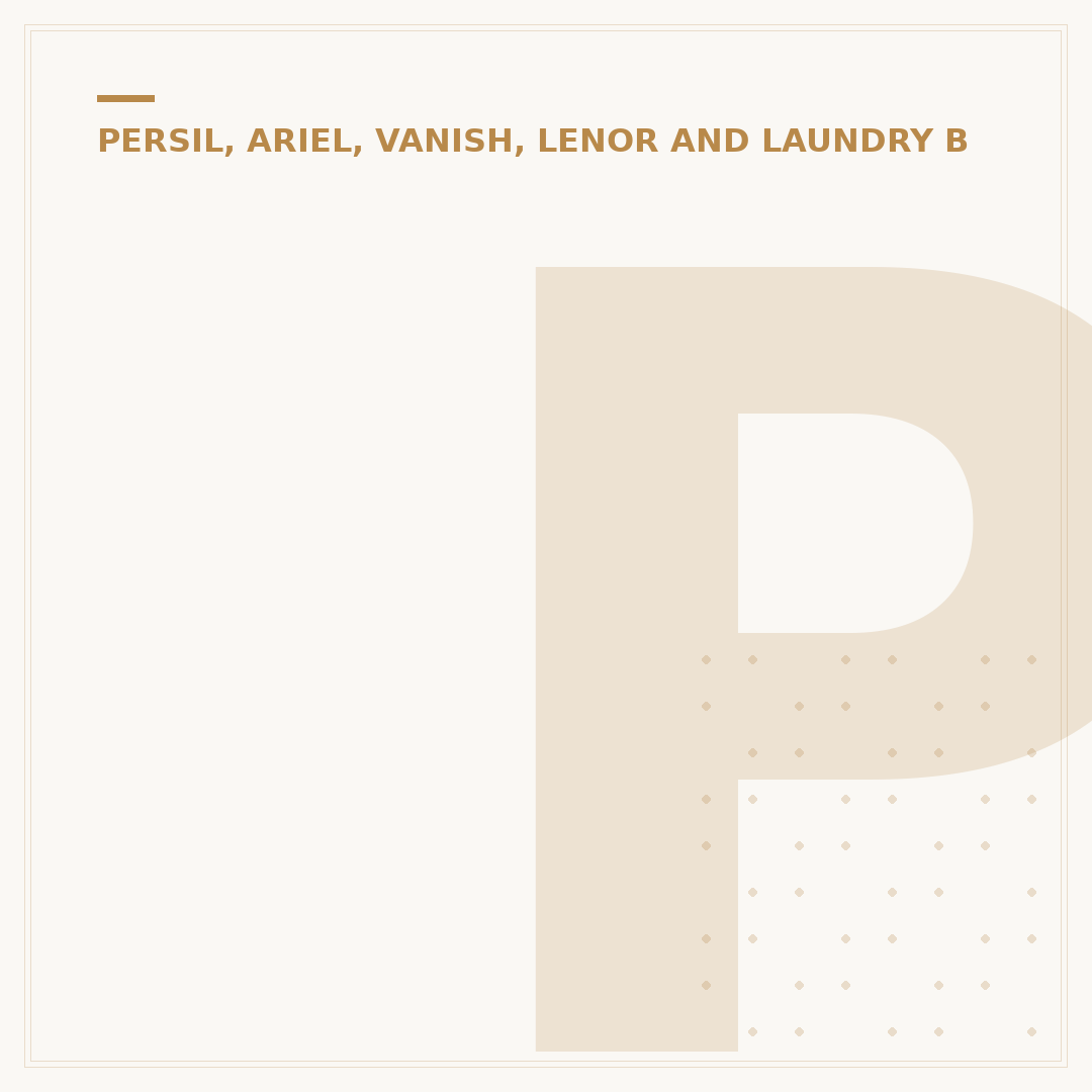 Persil Wonder Wash: What It Is and How It Cleans