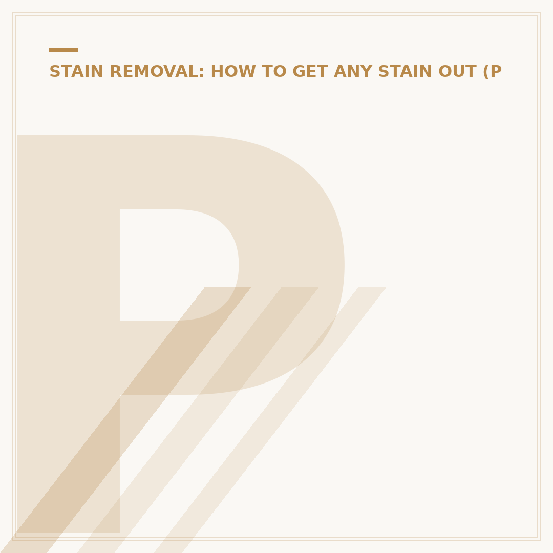 Pet Stain Remover: Tackle Odours and Marks Effectively