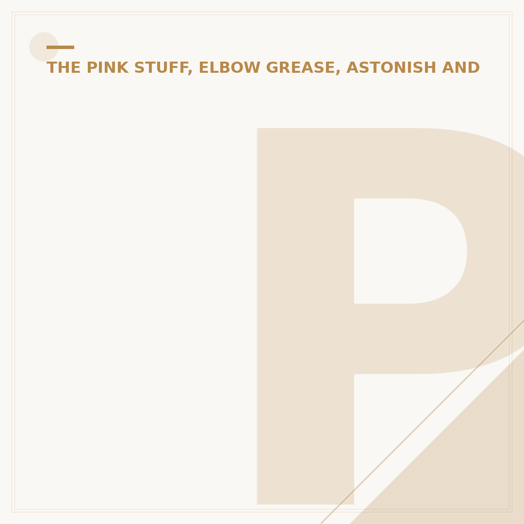 Pink Stuff Scrubber Kit: What to Look For