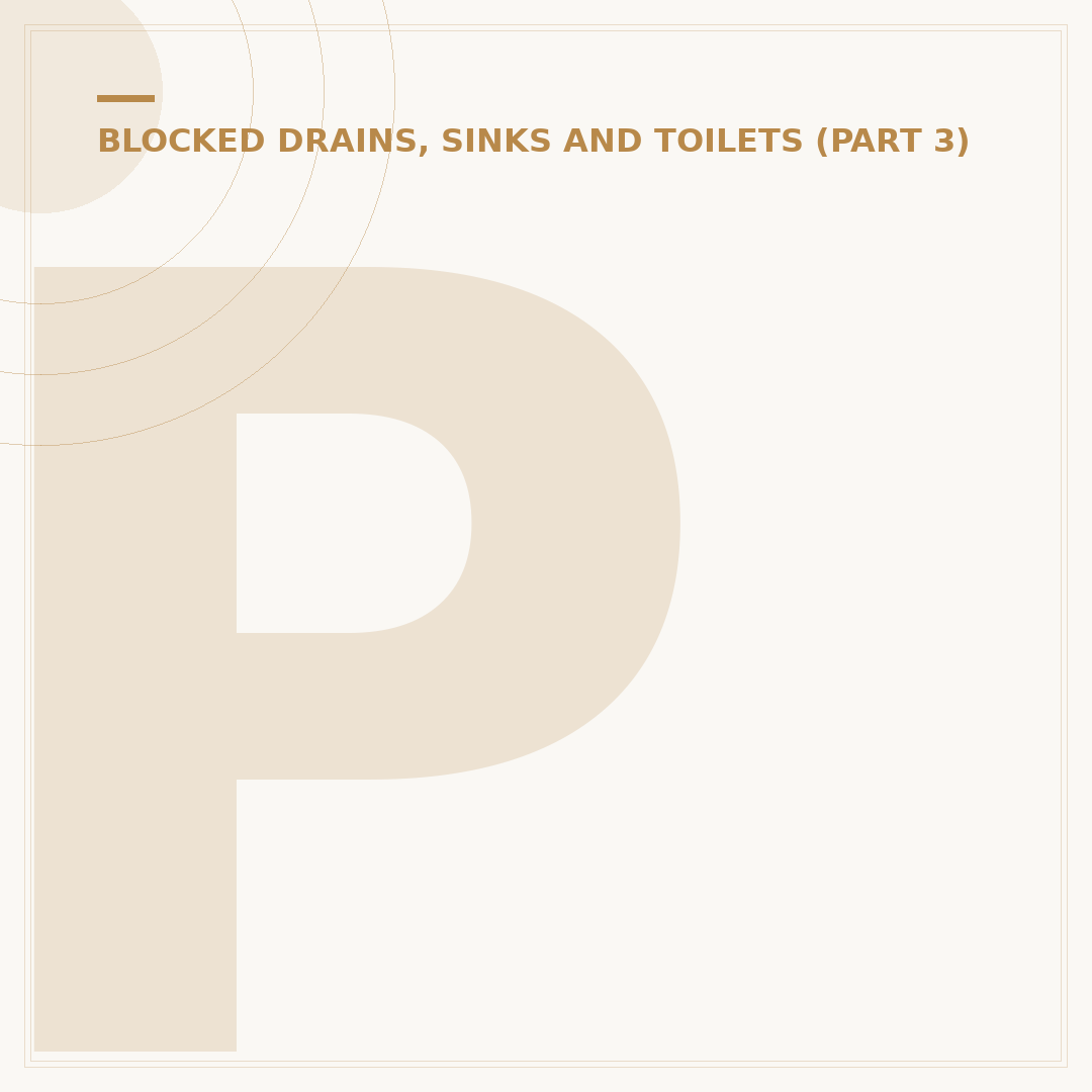Plughole Cleaner: Solutions for Blocked Drains