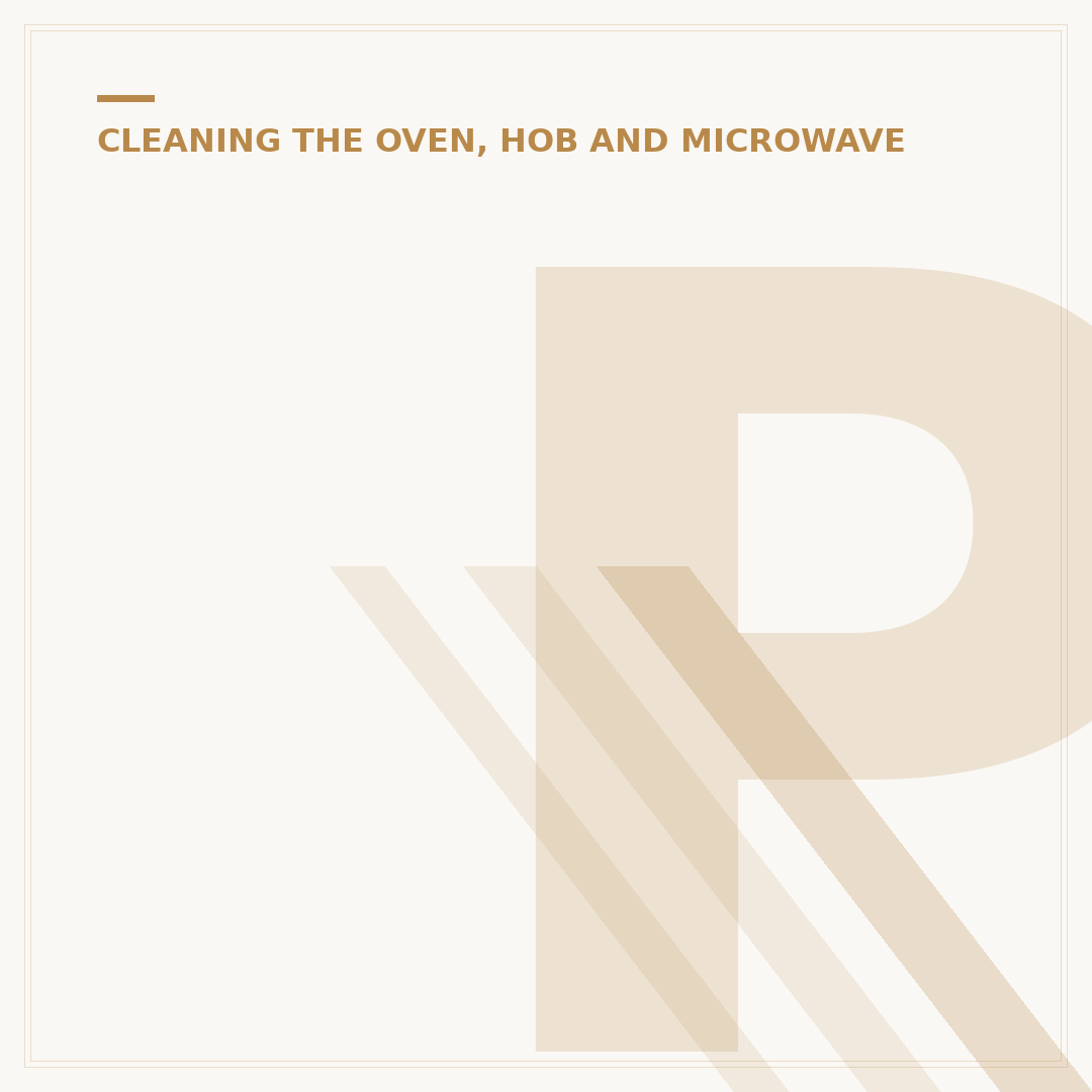 Professional Oven Cleaner