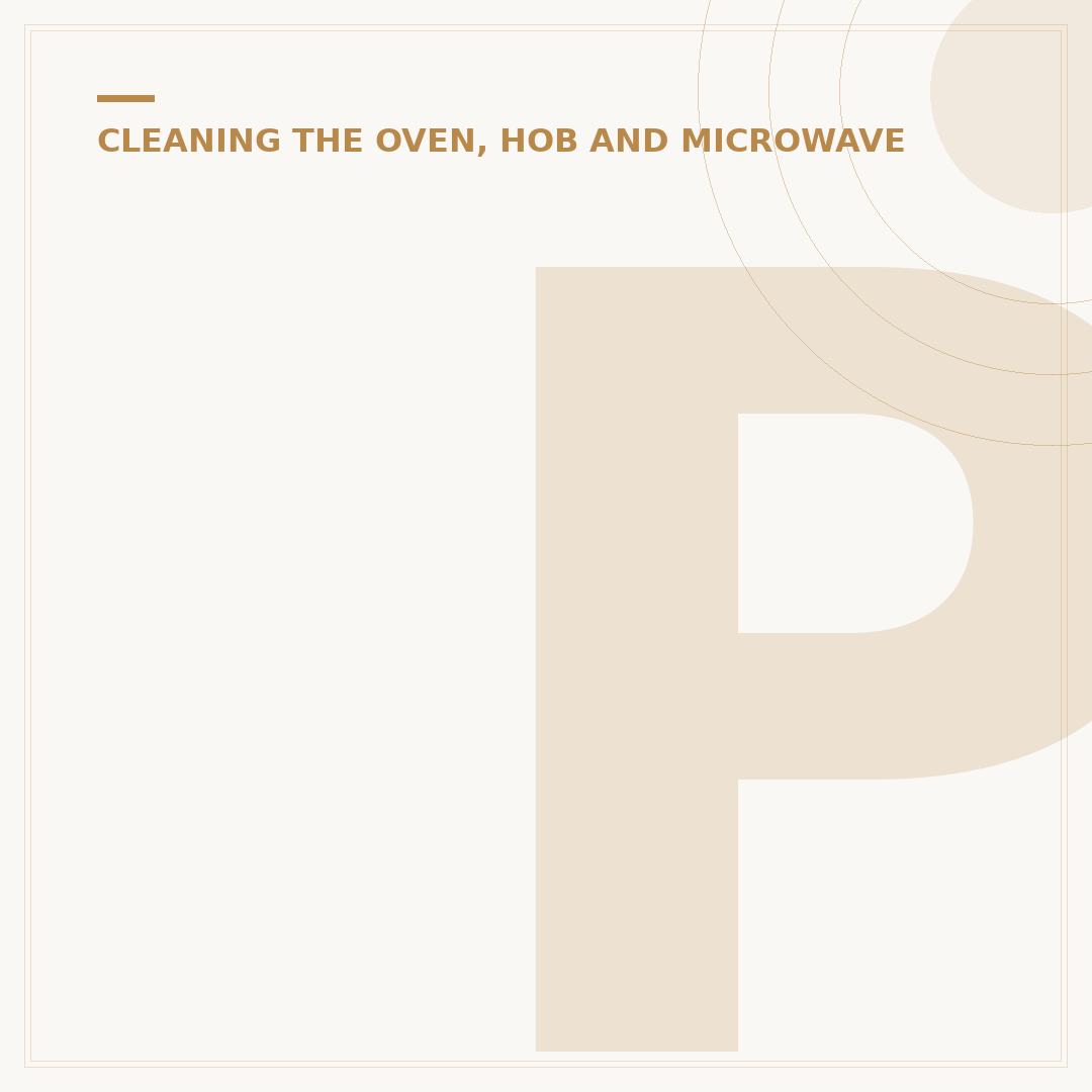 Professional Oven Cleaning Products