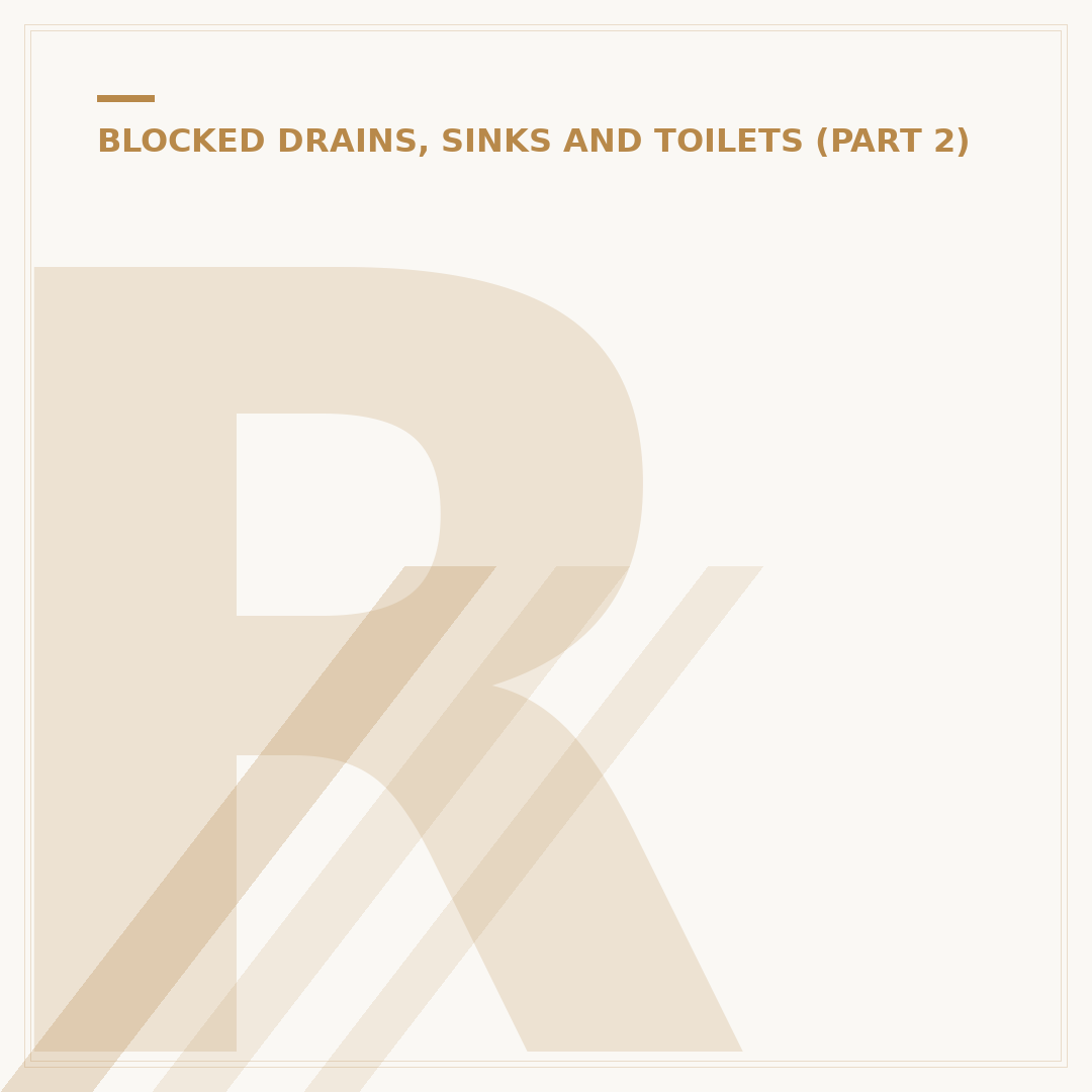 Rainwater Drain Blocked With Roots: Causes & Solutions
