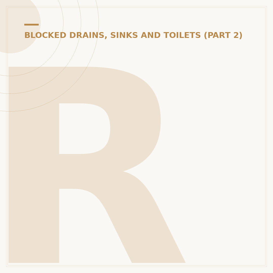 Rhino Drain Unblocker: Clearing Blockages Safely