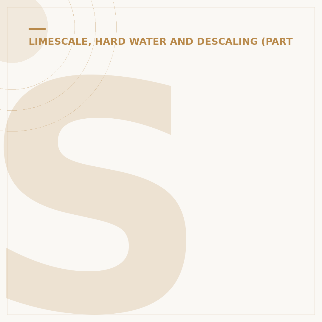 Saniflo Descaler: Effective Limescale Removal