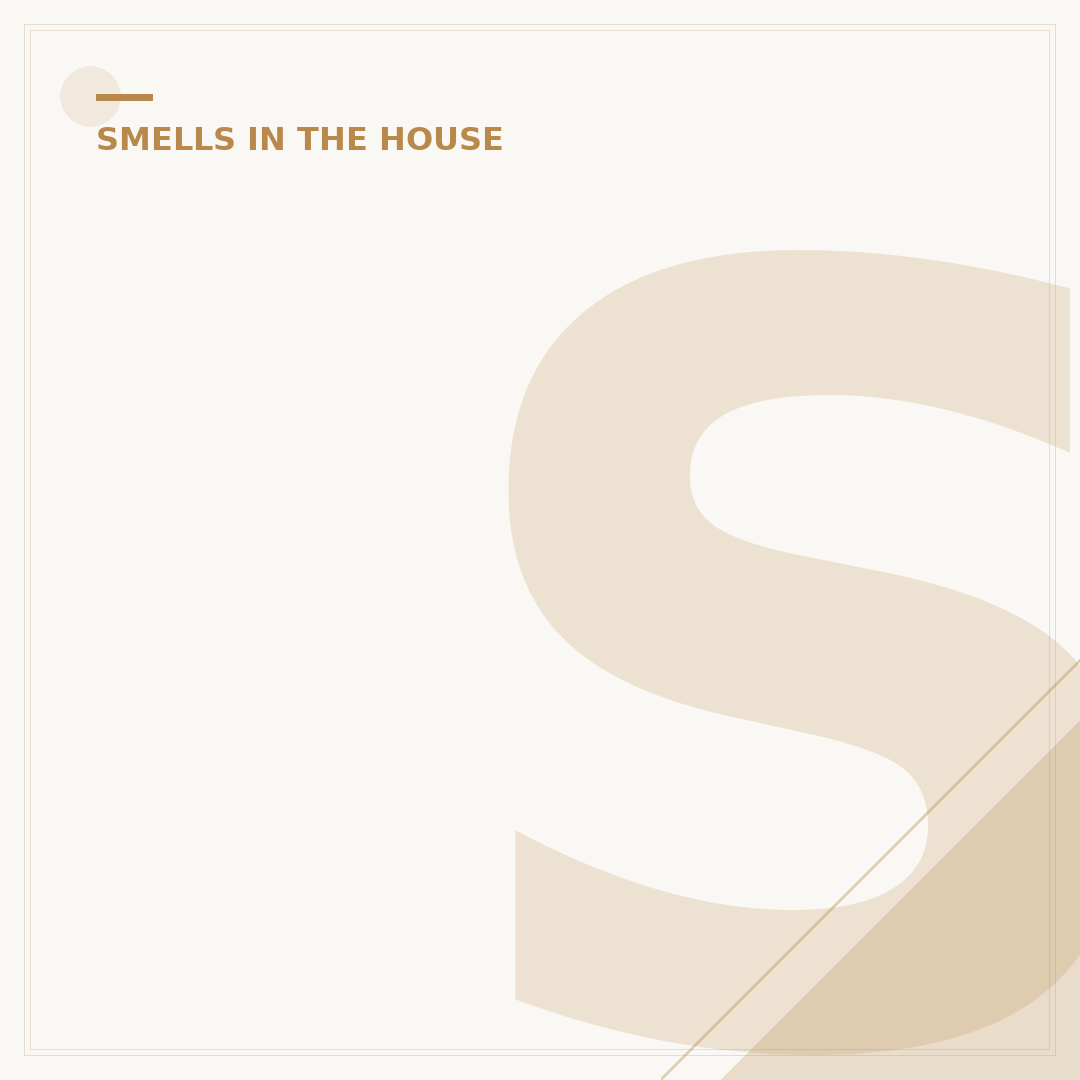 Sewer Smell in House: Causes and How to Fix