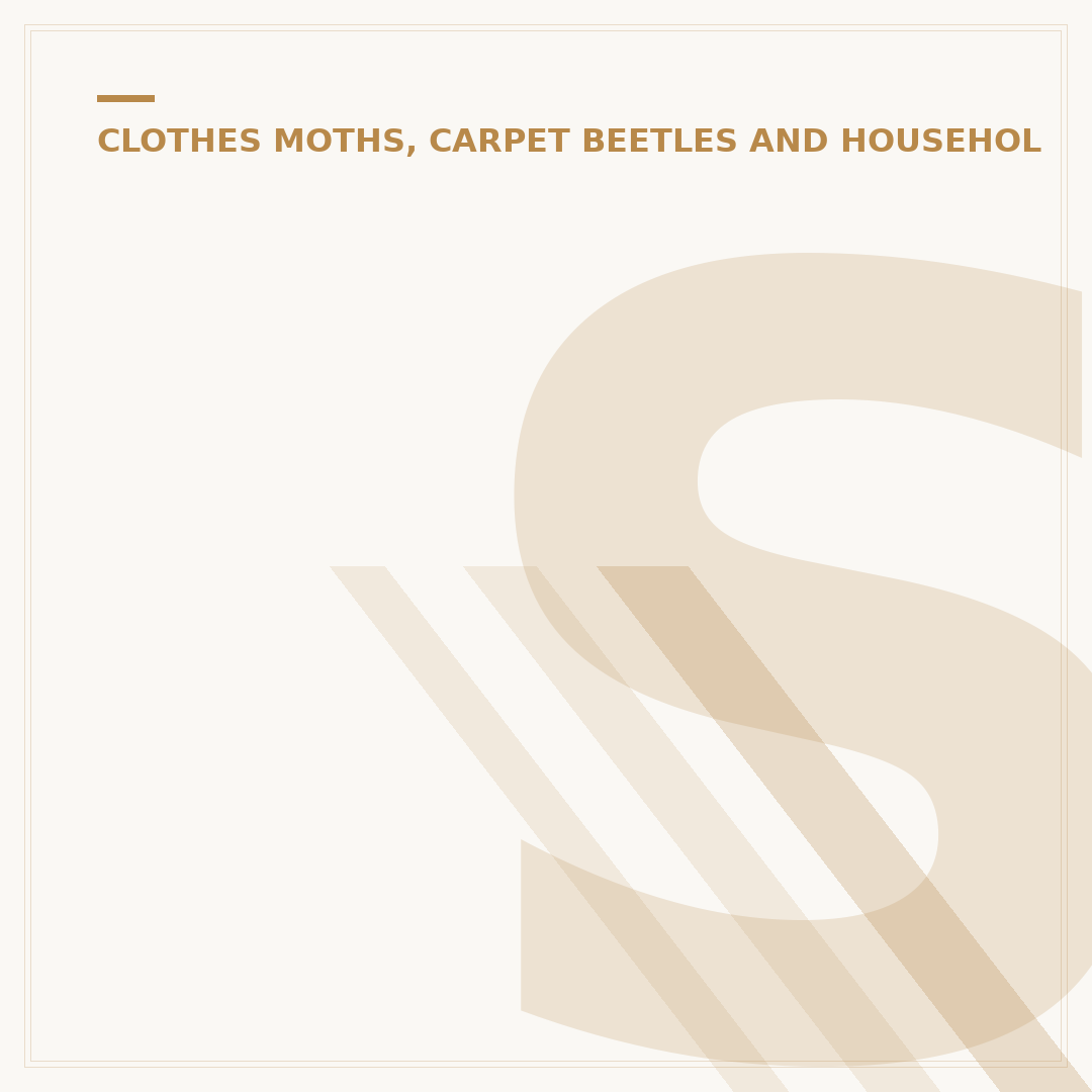 Silverfish B2B: Business Pest Control Strategy