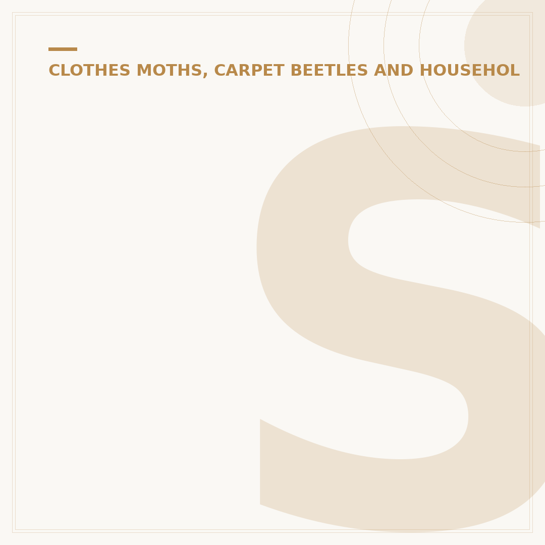 Silverfish Bugs in Bathroom: Identification and Control