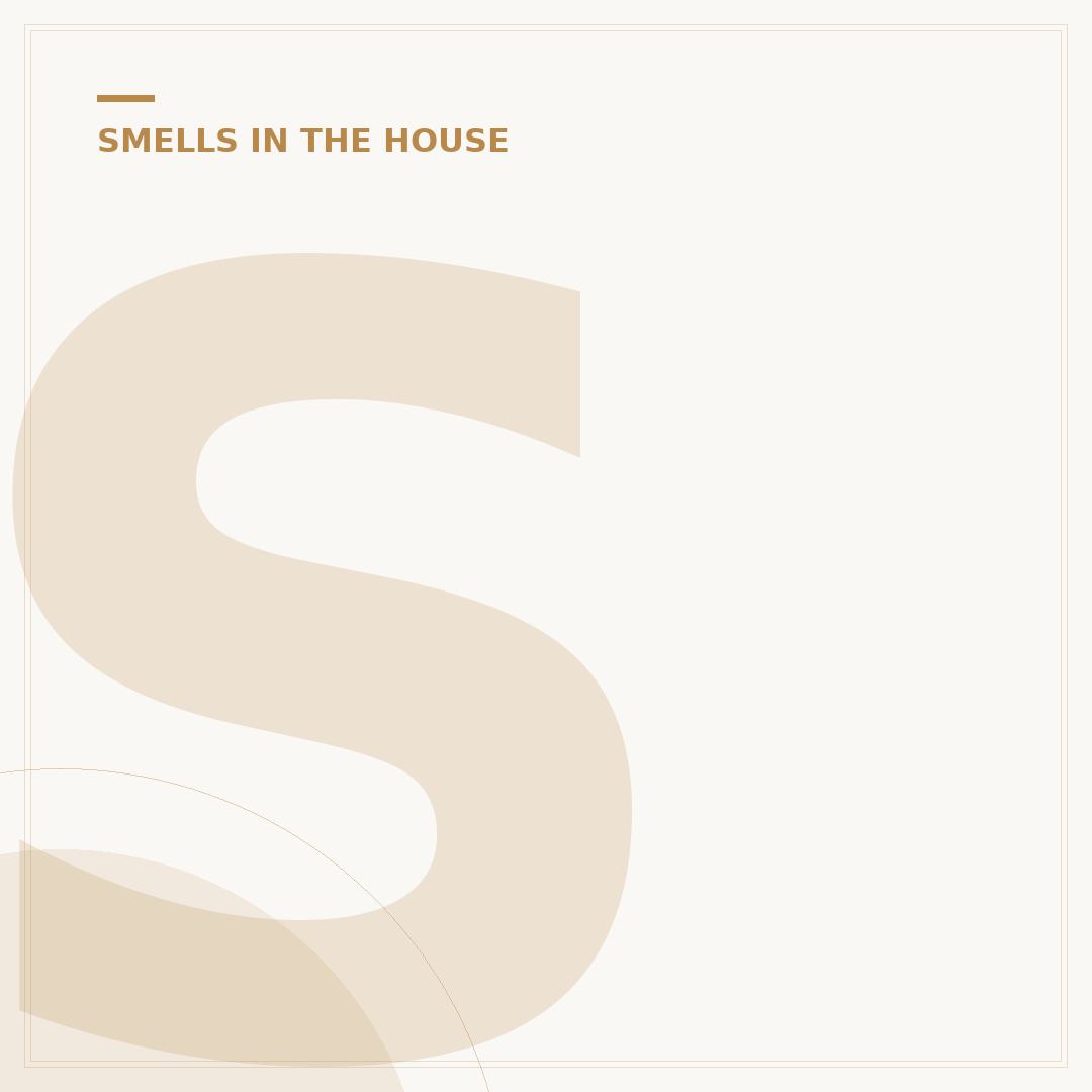 Smoke Smell in House: Expert Removal Methods