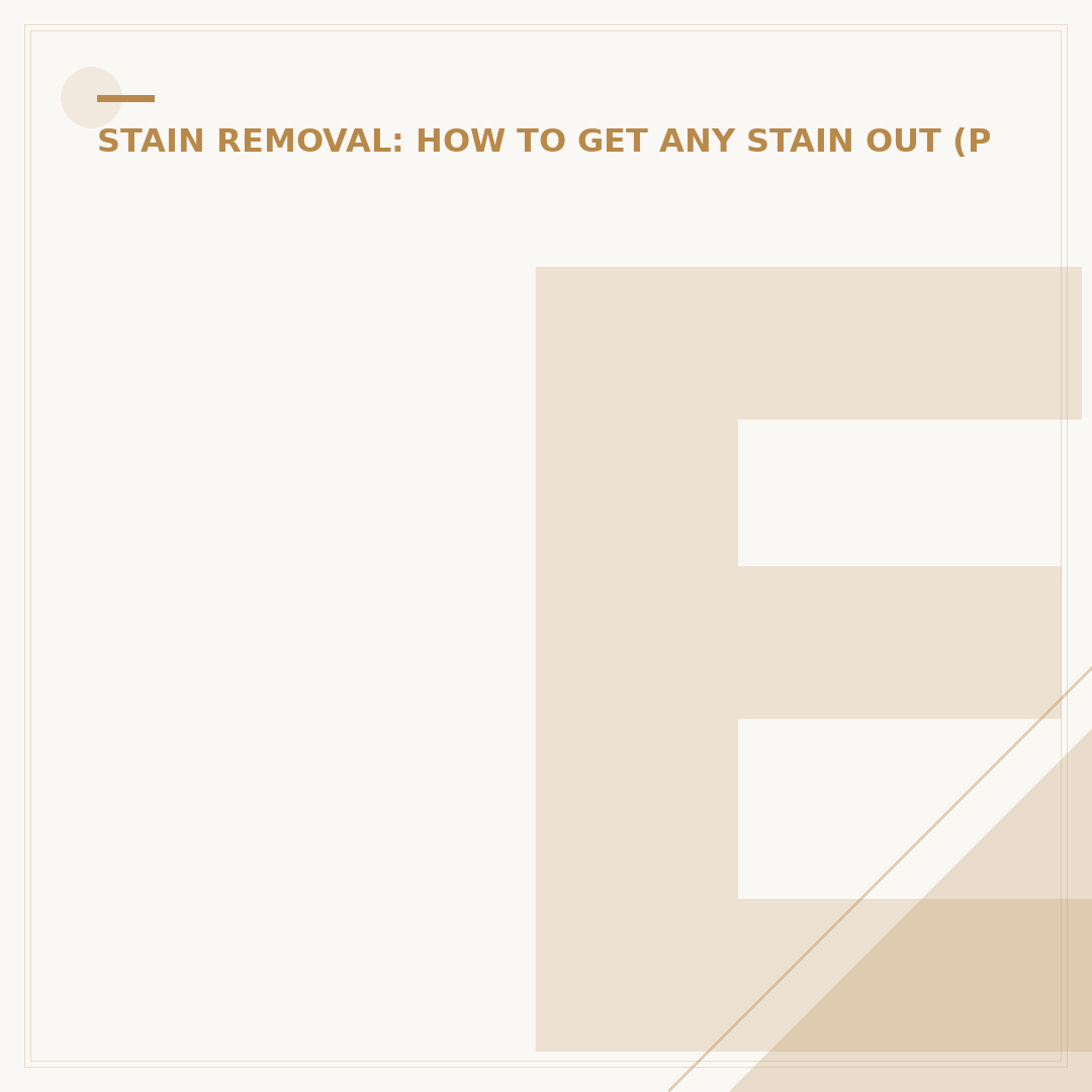 Effective Stain Remover for Toilet Seat Cleaning