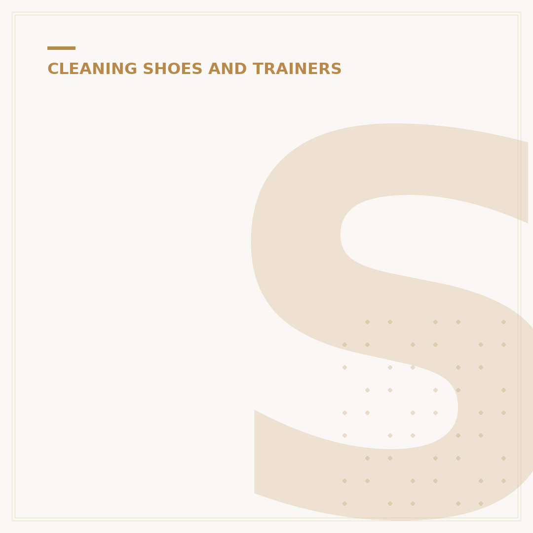 Suade Shoe Cleaner