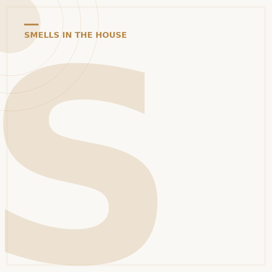 Sulfur Smell Inside House: Causes and Solutions