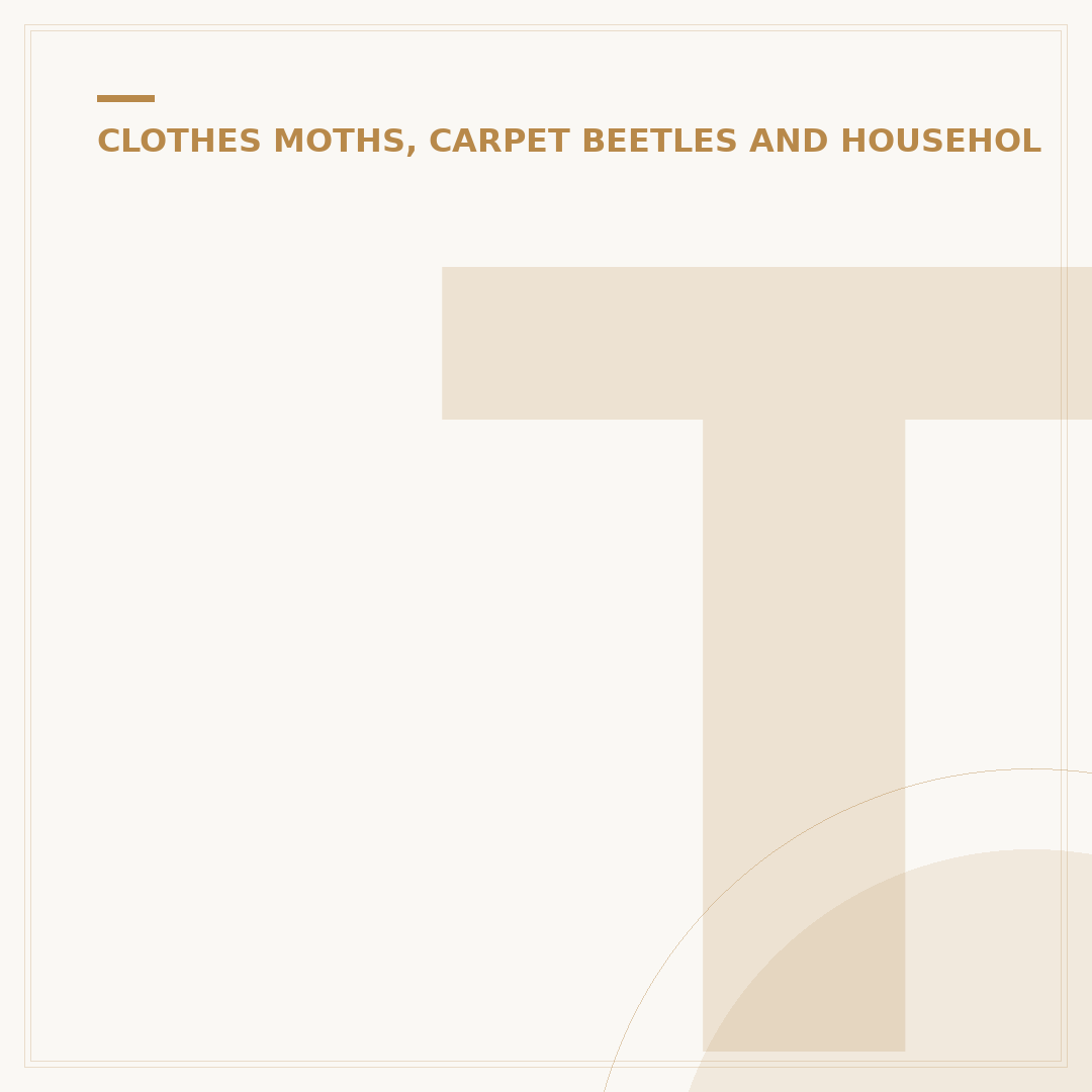 Tiny Black Carpet Beetle: Identification and Control