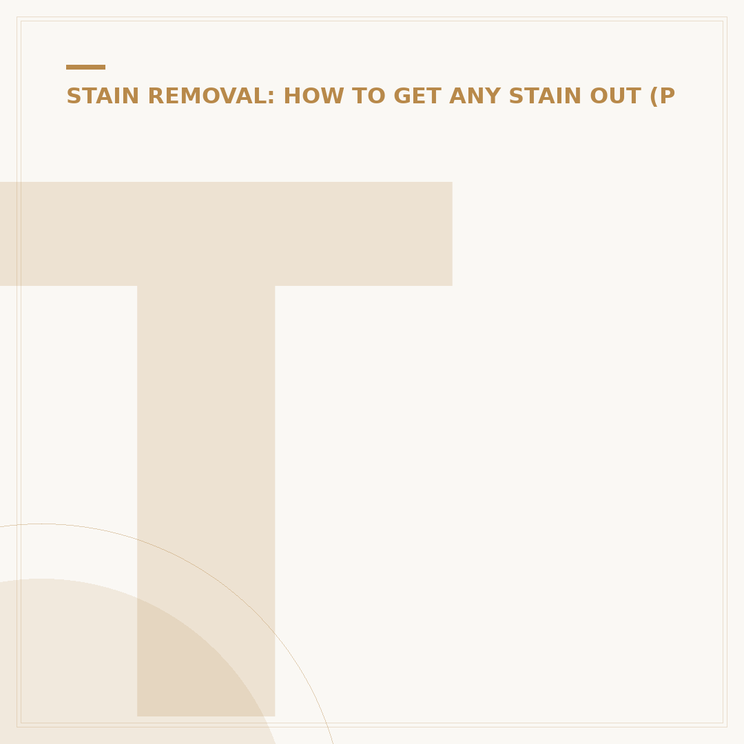 Toilet Bowl Stain Remover