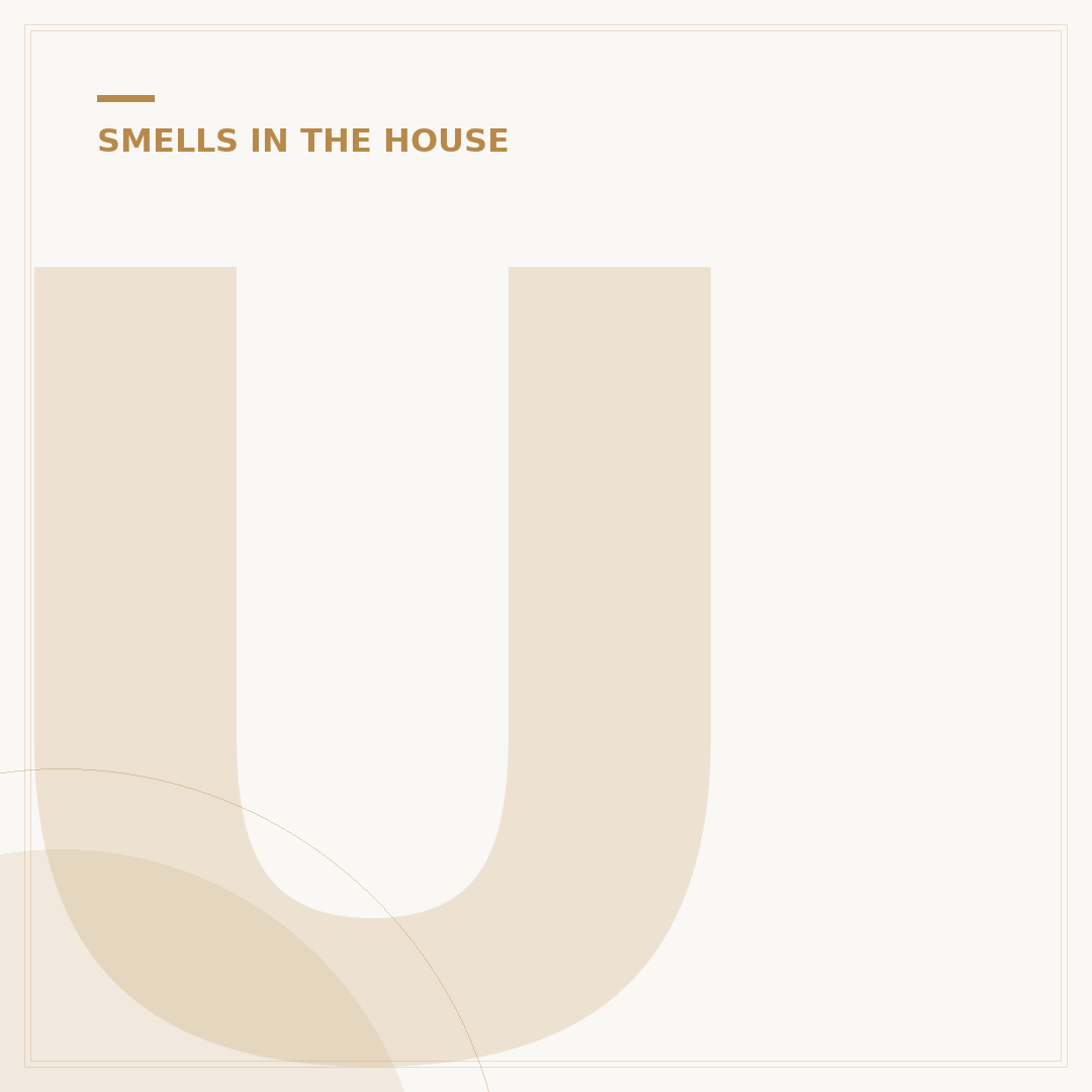 Unusual Smell in House: Causes and How to Resolve Them
