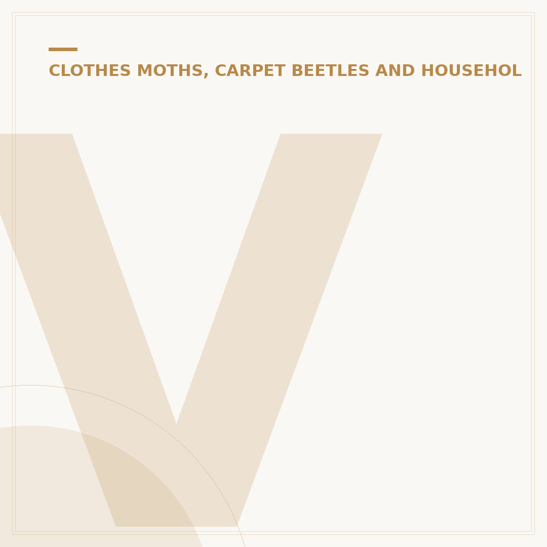 Varied Carpet Beetle Traps: Control and Identification