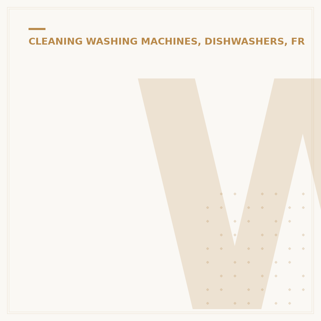 What to Use to Clean Washing Machine: Effective Agents